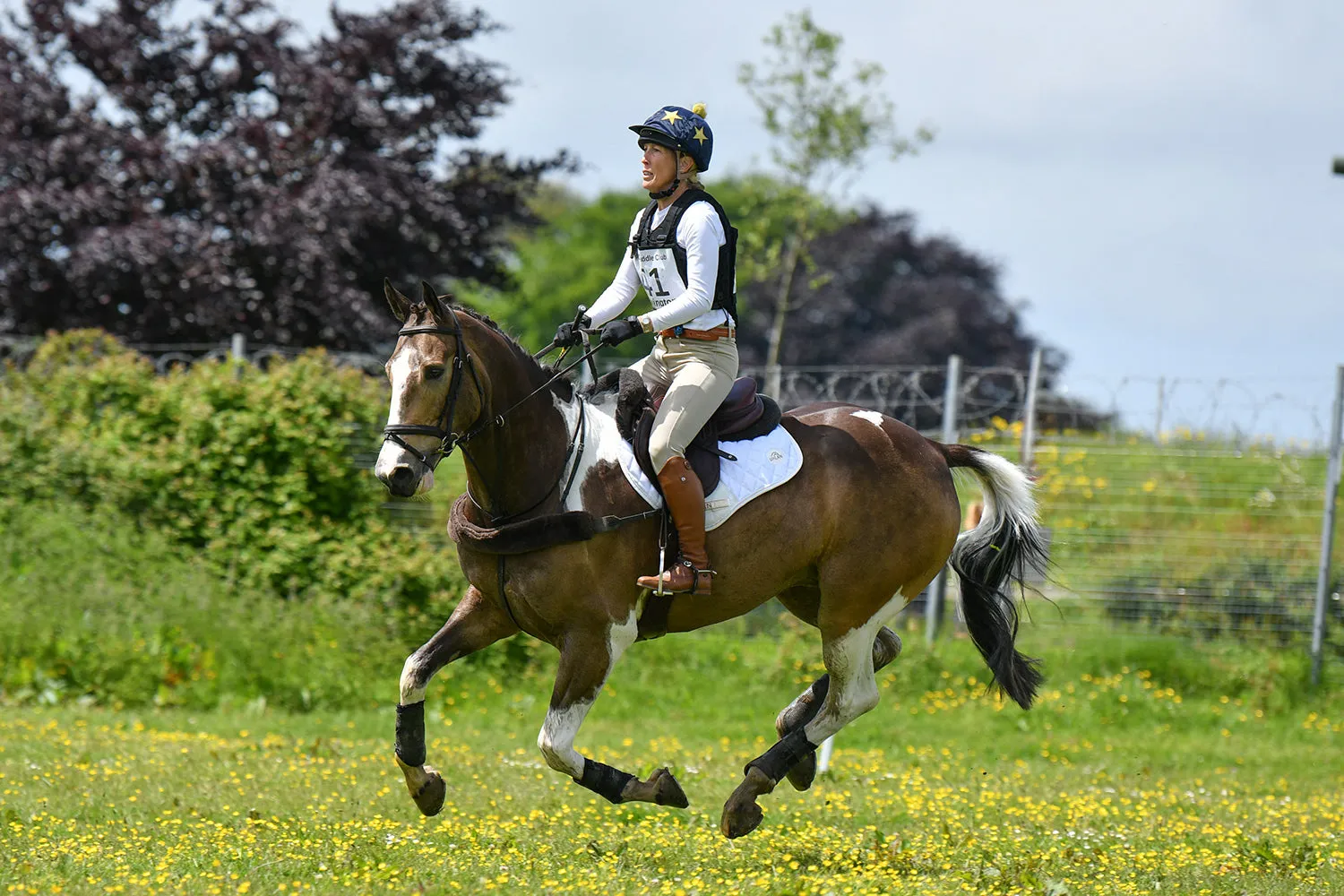 Ovation Celebrity Slim Secret Knee Patch Breeches