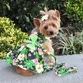 Twilight Black Hawaiian Hibiscus Dog Dress and Leash